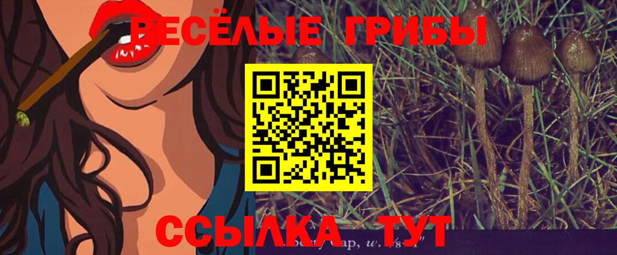 Псилоцибиновые грибы ЛСД Белореченск