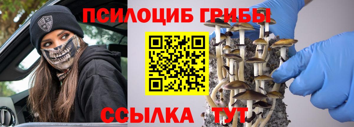 Галлюциногенные грибы ЛСД  купить  сайты  Белореченск  Вход с VPN 